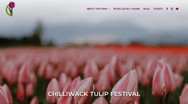 chilliwacktulipfest.com