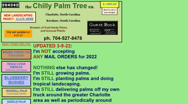 chillypalmtree.com