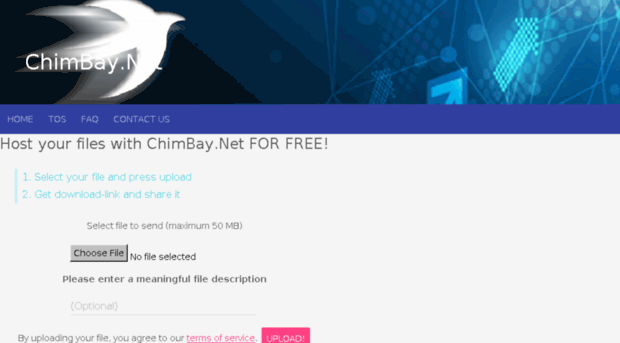 chimbay.net