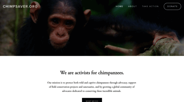 chimpsaver.org