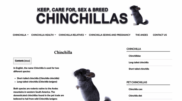 chin-chillas.com