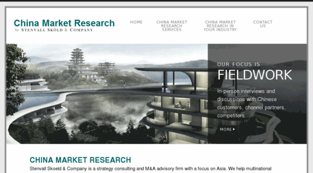 china-market-research.com