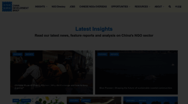 chinadevelopmentbrief.org