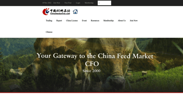 chinafeedonline.com.hk