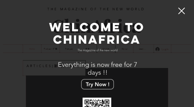 chinafrica.info