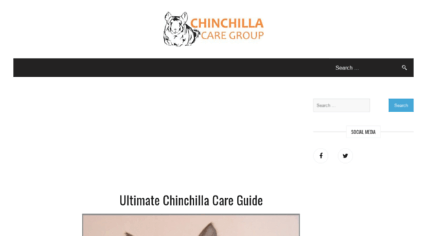 chinchillacaregroup.com