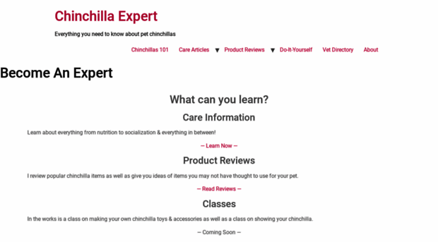 chinchillaexpert.com