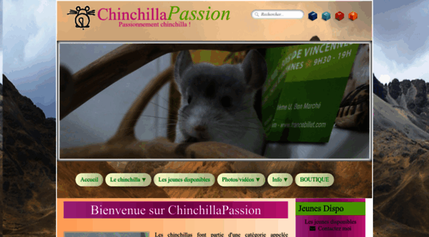 chinchillapassion.com