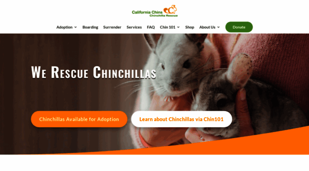 chinchillarescue.org