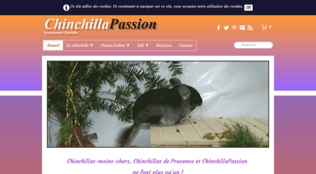 chinchillas-provence.fr