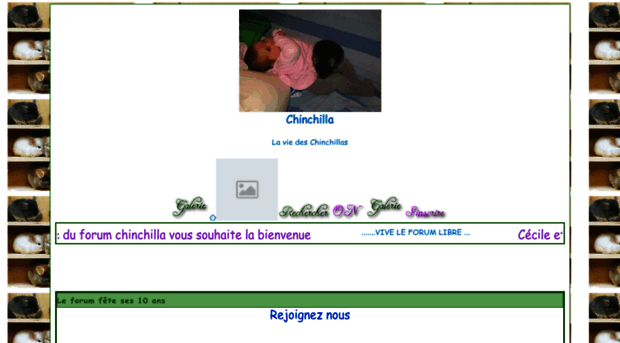 chinchillas.forumactif.com