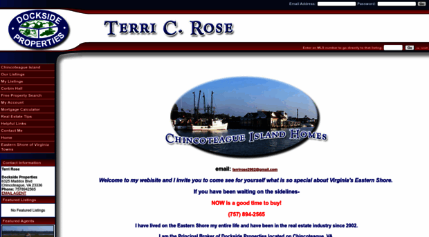 chincoteagueislandhomes.com