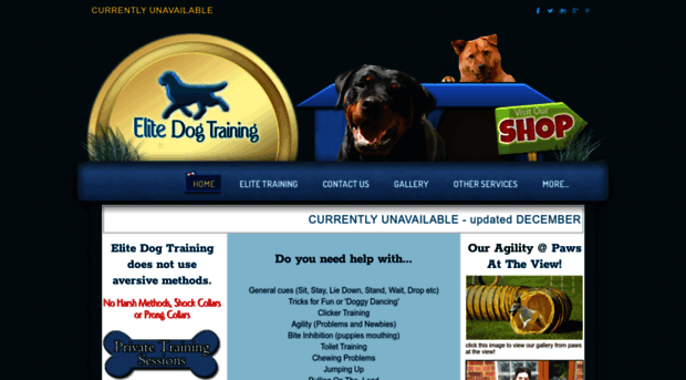 chingforddogtraining.co.uk