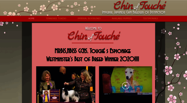 chinoftouche.com