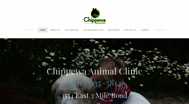 chippewaanimalclinic.com