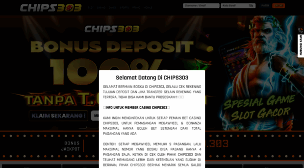 chips303.com