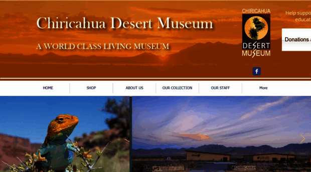 chiricahuadesertmuseum.com