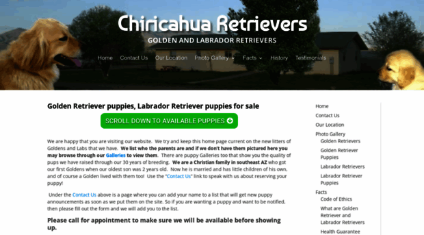 chiricahuaretrievers.com