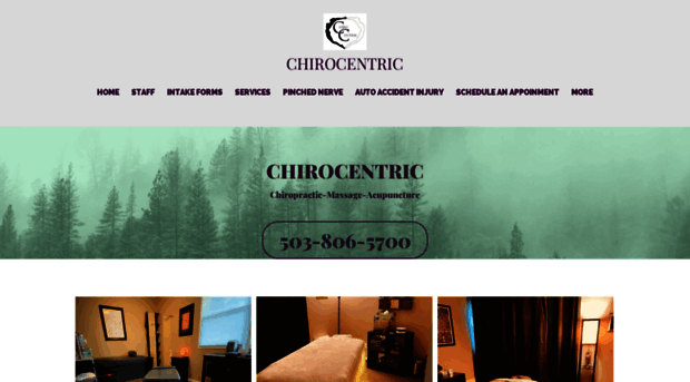 chirocentric.net