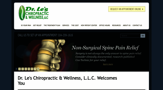 chiropracticauburn-al.com