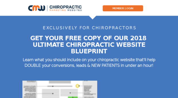 chiropracticblogdesigns.com