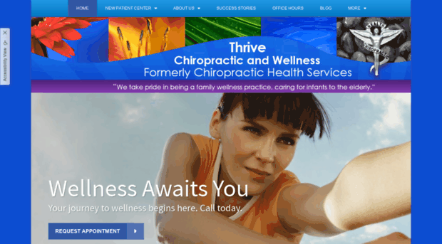 chiropractichealthservices.com