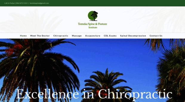 chiropractorormondbeach.com