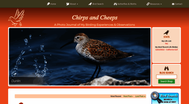 chirpsandcheeps.com