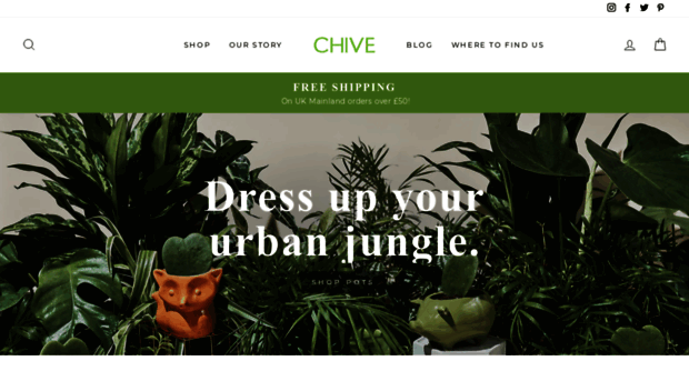 chiveuk.com