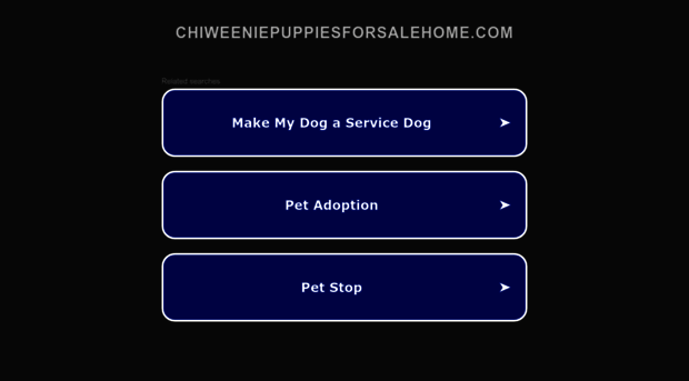 chiweeniepuppiesforsalehome.com