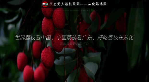 chlitchi.com