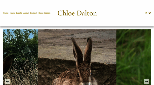 chloedalton.uk