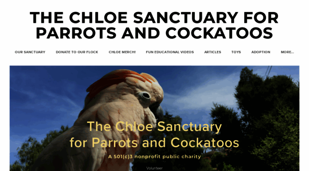 chloesanctuary.org