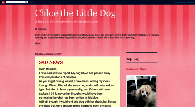 chloethelittledog.blogspot.com