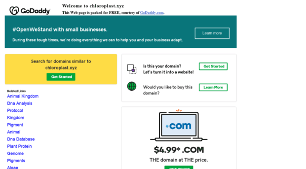 chloroplast.xyz