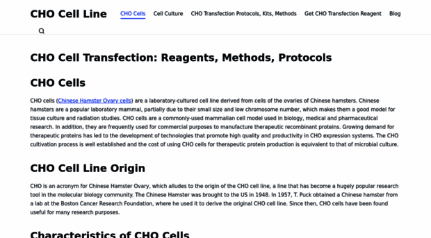 cho-cell-transfection.com