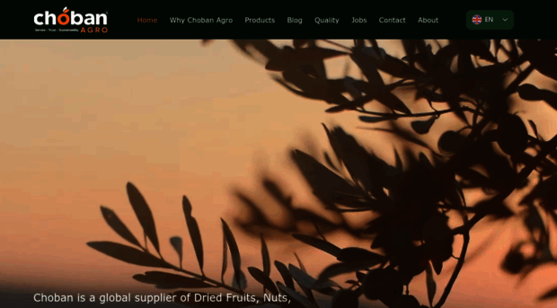 chobanagro.com