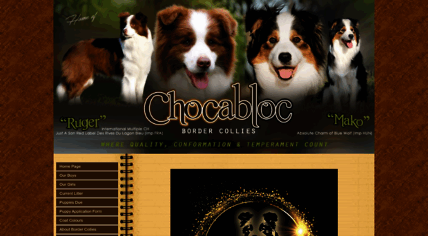 chocablocbordercollies.com