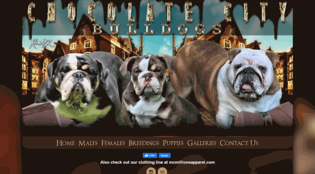 chocolatecitybulldogs.com