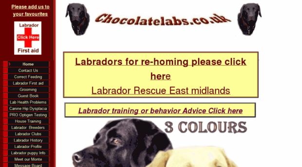 chocolatelabs.co.uk