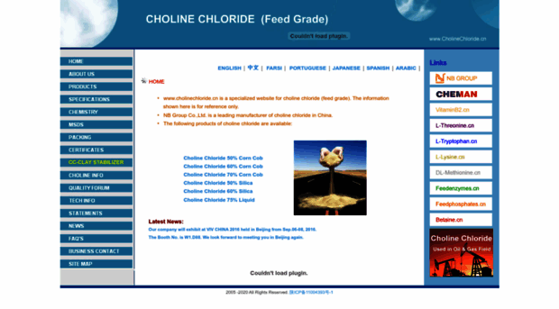 cholinechloride.cn