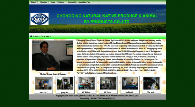 chongqingcasing.com
