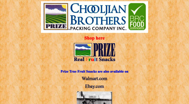 chooljianbrothers.com