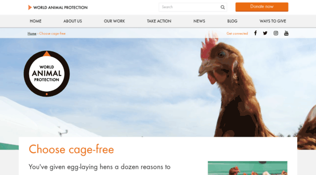 choosecagefree.com