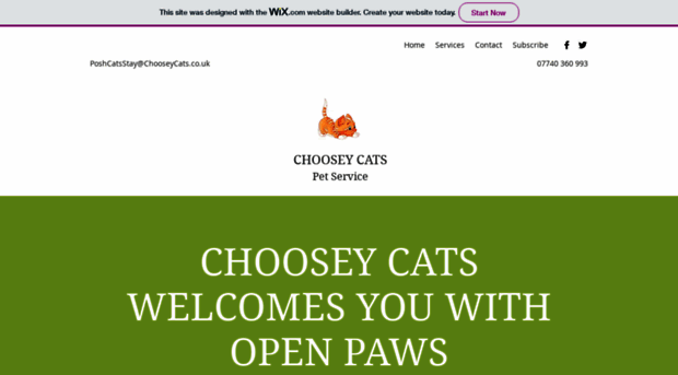 chooseycats.co.uk