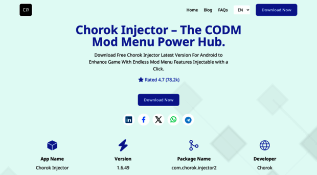 chorokinjector.com
