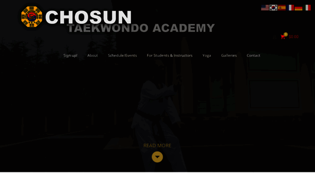 chosuntkd.com