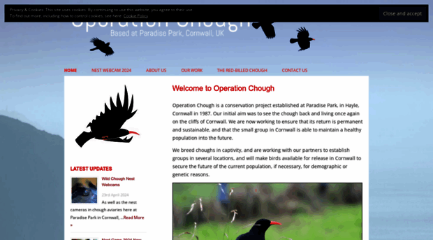 chough.org