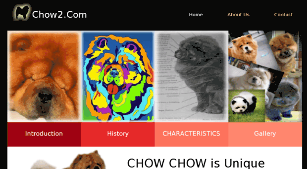 chow2.com