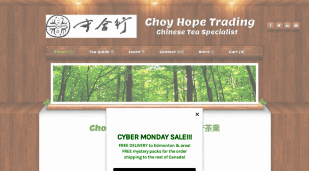 choyhope.ca